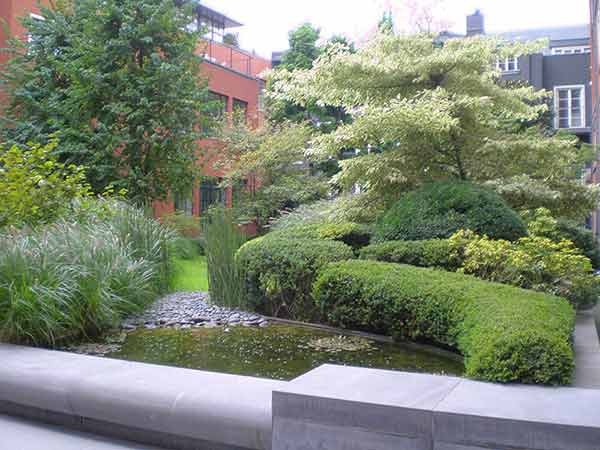 Restful garden with pond and green shrubs