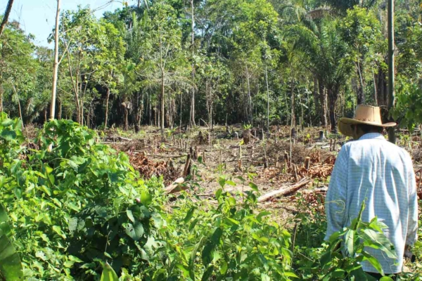Duurzame restauratie van afgebrand bos in Bolivia